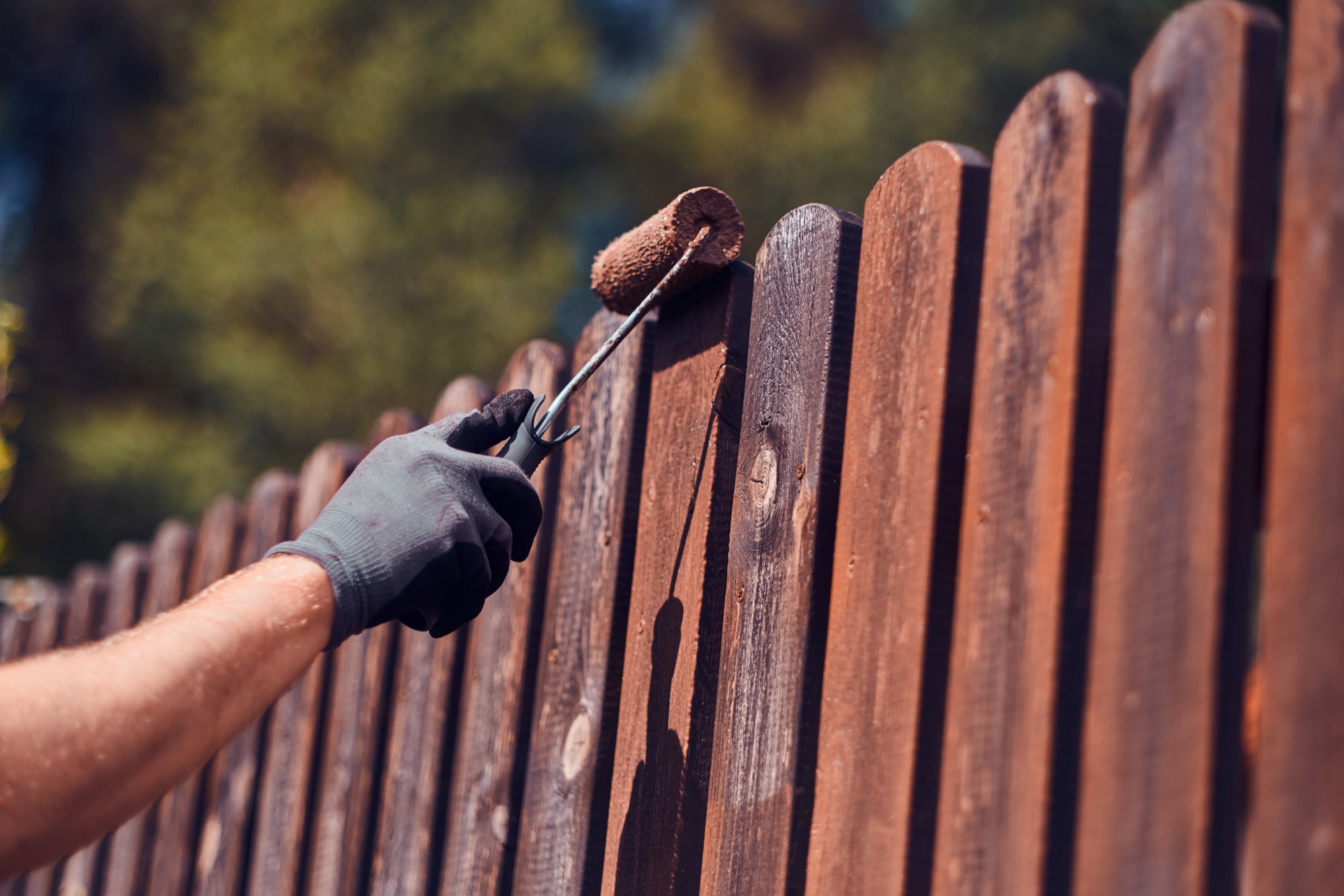 Painter applying dark walnut stain to a wood fence with a roller