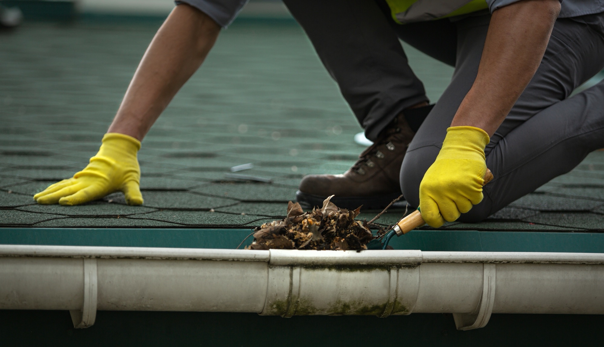 Worker in yellow gloves clearing leaf debris from a home's gutter